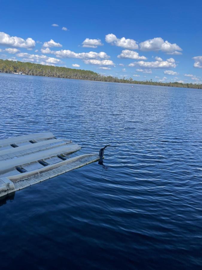 Disney Just 1 And A Quarter Mile Away, Blue Heron 1 Room 2 Bath,Amenities,6 Guests, Walk To Restaurants, No Fees At Check In Орландо Екстер'єр фото